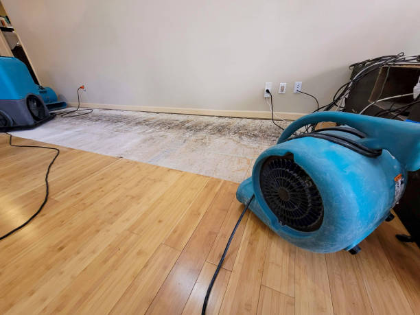 Professional Basement Flood Cleanup technician working in Unionville, MI
